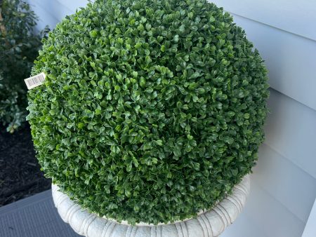 Boxwood Ball 50cm Online Sale