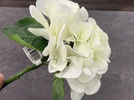 Hydrangea Short Stem White Online