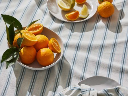 Capri Blue Stripe Tablecloth Sale