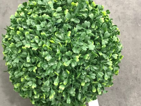 Boxwood Ball 40cm on Sale