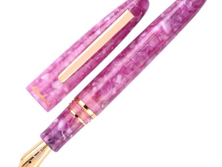 Esterbrook Estie Regular Fountain Pen - Punch GT (Limited Edition) Online Hot Sale